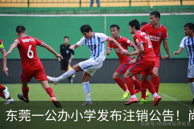 东莞一公办小学发布注销公告！尚未办学就停办了！