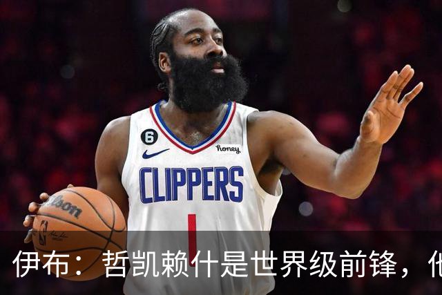 伊布：哲凯赖什是世界级前锋，他不进球应该问问他的队友