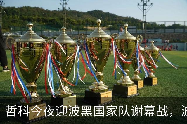 哲科今夜迎波黑国家队谢幕战，波黑首都悬挂哲科巨型球衣致敬