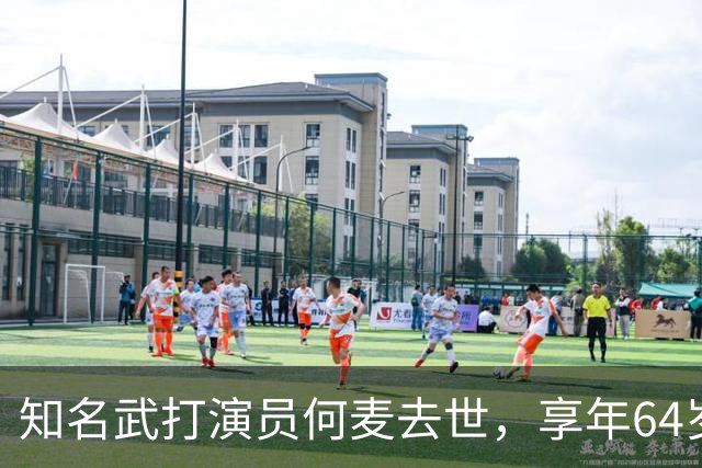 知名武打演员何麦去世，享年64岁